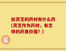 似灵芝的药材有什么药(灵芝作为药材，有怎样的药用价值？)