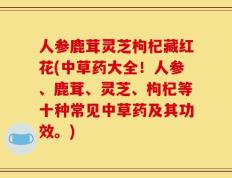人参鹿茸灵芝枸杞藏红花(中草药大全！人参、鹿茸、灵芝、枸杞等十种常见中草药及其功效。)