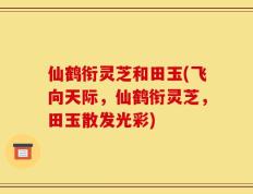 仙鹤衔灵芝和田玉(飞向天际，仙鹤衔灵芝，田玉散发光彩)