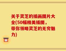 关于灵芝的插画图片大全(50幅精美插图，带你领略灵芝的无穷魅力)