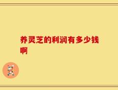 养灵芝的利润有多少钱啊