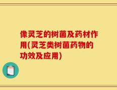 像灵芝的树菌及药材作用(灵芝类树菌药物的功效及应用)