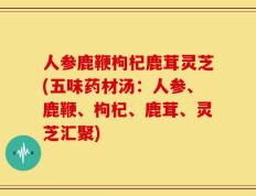 人参鹿鞭枸杞鹿茸灵芝(五味药材汤：人参、鹿鞭、枸杞、鹿茸、灵芝汇聚)