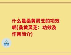 什么是桑黄灵芝的功效呢(桑黄灵芝：功效及作用简介)