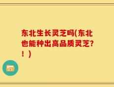 东北生长灵芝吗(东北也能种出高品质灵芝？！)