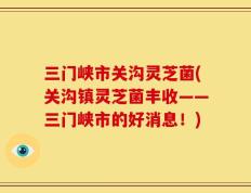 三门峡市关沟灵芝菌(关沟镇灵芝菌丰收——三门峡市的好消息！)