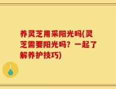 养灵芝用采阳光吗(灵芝需要阳光吗？一起了解养护技巧)