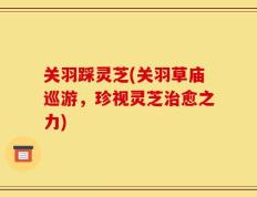 关羽踩灵芝(关羽草庙巡游，珍视灵芝治愈之力)