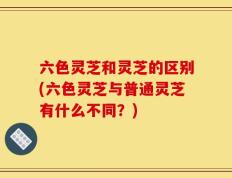 六色灵芝和灵芝的区别(六色灵芝与普通灵芝有什么不同？)