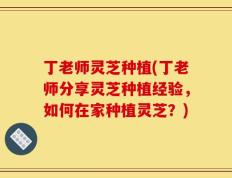 丁老师灵芝种植(丁老师分享灵芝种植经验，如何在家种植灵芝？)