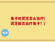 兔子吃灵芝怎么治疗(灵芝能否治疗兔子？)