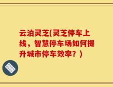 云泊灵芝(灵芝停车上线，智慧停车场如何提升城市停车效率？)