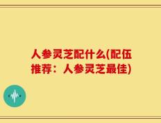 人参灵芝配什么(配伍推荐：人参灵芝最佳)