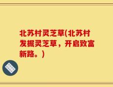 北苏村灵芝草(北苏村发掘灵芝草，开启致富新路。)