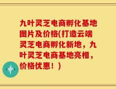 九叶灵芝电商孵化基地图片及价格(打造云端灵芝电商孵化新地，九叶灵芝电商基地亮相，价格优惠！)