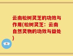 云南松树灵芝的功效与作用(松树灵芝：云南自然灵物的功效与益处)