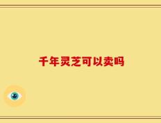 千年灵芝可以卖吗