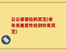 公公婆婆捡的灵芝(老年夫妻意外捡到珍贵灵芝)