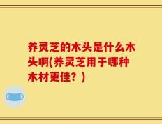 养灵芝的木头是什么木头啊(养灵芝用于哪种木材更佳？)