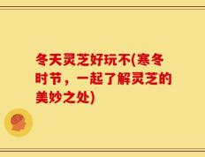 冬天灵芝好玩不(寒冬时节，一起了解灵芝的美妙之处)