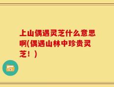 上山偶遇灵芝什么意思啊(偶遇山林中珍贵灵芝！)