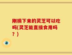 刚摘下来的灵芝可以吃吗(灵芝能直接食用吗？)