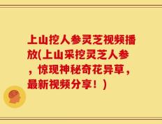 上山挖人参灵芝视频播放(上山采挖灵芝人参，惊现神秘奇花异草，最新视频分享！)