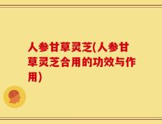 人参甘草灵芝(人参甘草灵芝合用的功效与作用)