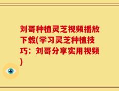 刘哥种植灵芝视频播放下载(学习灵芝种植技巧：刘哥分享实用视频)