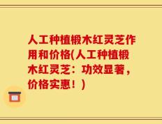 人工种植椴木红灵芝作用和价格(人工种植椴木红灵芝：功效显著，价格实惠！)