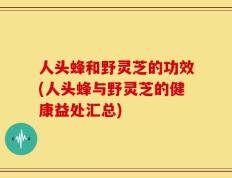 人头蜂和野灵芝的功效(人头蜂与野灵芝的健康益处汇总)