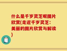 什么是千岁灵芝呢图片欣赏(走近千岁灵芝：美丽的图片欣赏与解读)