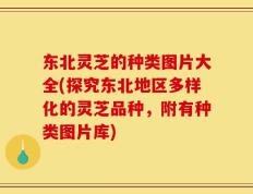 东北灵芝的种类图片大全(探究东北地区多样化的灵芝品种，附有种类图片库)