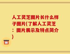 人工灵芝图片长什么样子图片(了解人工灵芝：图片展示及特点简介)