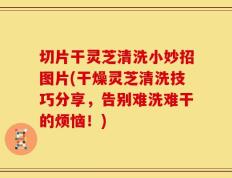 切片干灵芝清洗小妙招图片(干燥灵芝清洗技巧分享，告别难洗难干的烦恼！)
