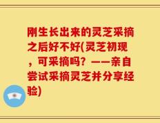 刚生长出来的灵芝采摘之后好不好(灵芝初现，可采摘吗？——亲自尝试采摘灵芝并分享经验)