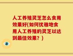 人工养殖灵芝怎么食用效果好(如何优雅地食用人工养殖的灵芝以达到最佳效果？)