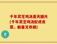 千年灵芝鸡汤夏天图片(千年灵芝鸡汤配虎皮菜，解暑又养颜)