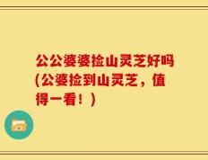 公公婆婆捡山灵芝好吗(公婆捡到山灵芝，值得一看！)