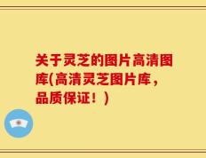 关于灵芝的图片高清图库(高清灵芝图片库，品质保证！)