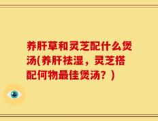 养肝草和灵芝配什么煲汤(养肝祛湿，灵芝搭配何物最佳煲汤？)