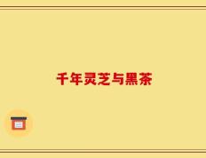 千年灵芝与黑茶