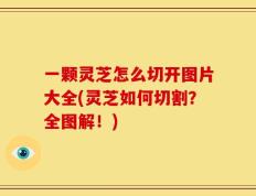 一颗灵芝怎么切开图片大全(灵芝如何切割？全图解！)