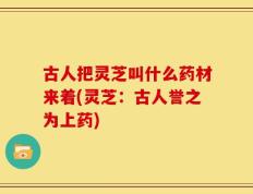 古人把灵芝叫什么药材来着(灵芝：古人誉之为上药)