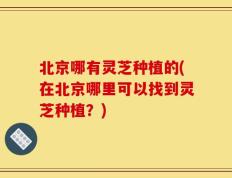 北京哪有灵芝种植的(在北京哪里可以找到灵芝种植？)