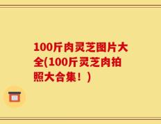 100斤肉灵芝图片大全(100斤灵芝肉拍照大合集！)
