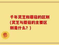 千年灵芝和蘑菇的区别(灵芝与蘑菇的主要区别是什么？)