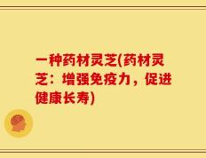 一种药材灵芝(药材灵芝：增强免疫力，促进健康长寿)