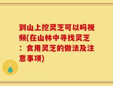 到山上挖灵芝可以吗视频(在山林中寻找灵芝：食用灵芝的做法及注意事项)