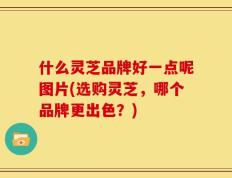 什么灵芝品牌好一点呢图片(选购灵芝，哪个品牌更出色？)